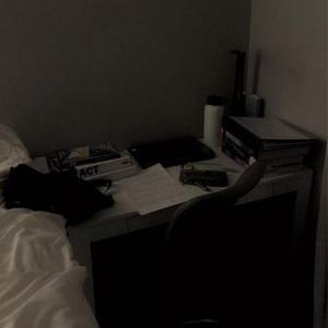 福利视频久久久一区二区三区
