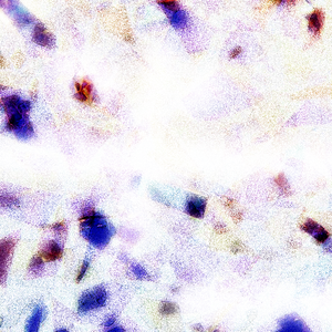 福利视频久久久一区二区三区
